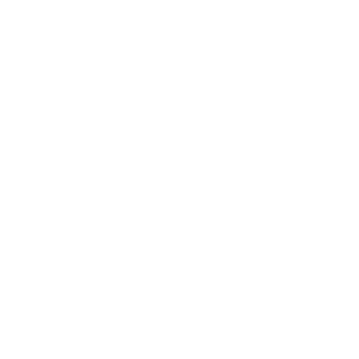 Security icon